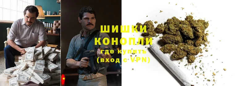 Бошки Шишки SATIVA & INDICA  наркотики  ОМГ ОМГ tor  Кедровый 